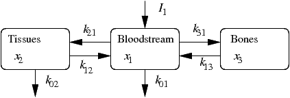 figure of a three-compartment lead model