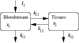 figure of a two-compartment lead model