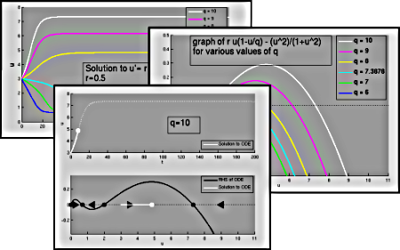 figure showing graphs produced by Matlab file Budworm_Model.m