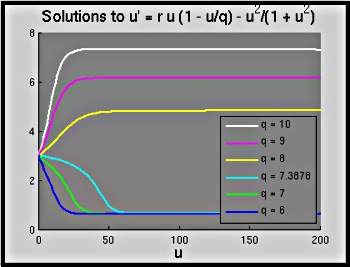 figure showing graph produced by Matlab file Budworm_Model_Solution.m